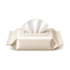 Wet wipes